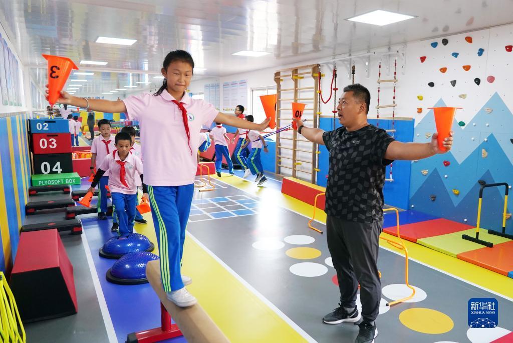 菠菜软件怎么下载